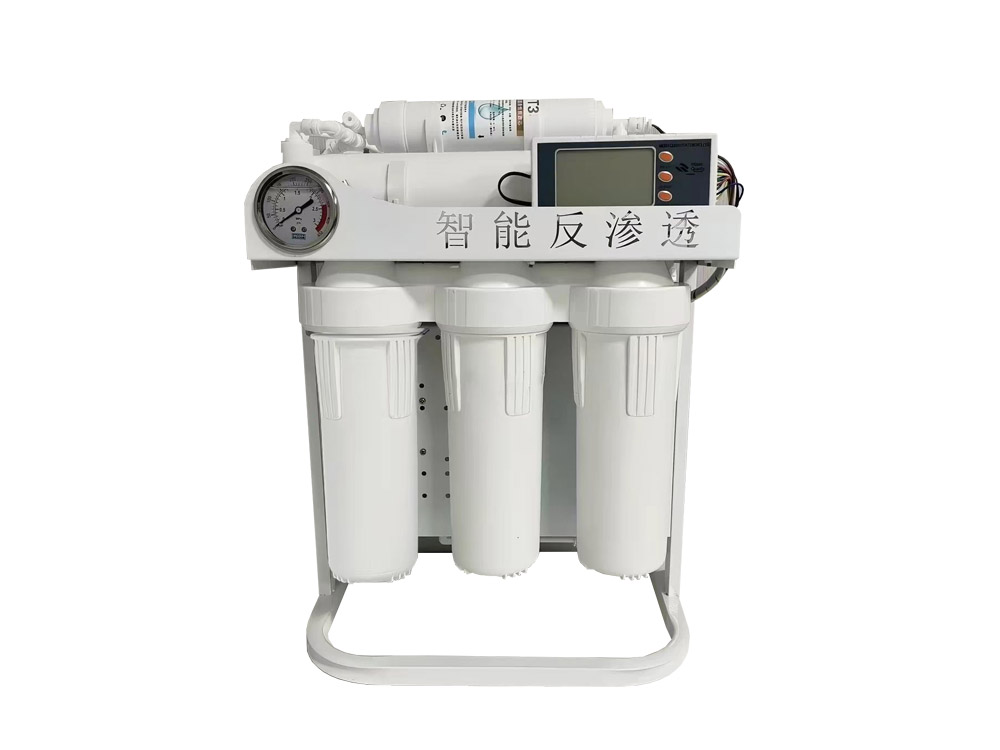 250/500LPH Commercial RO System